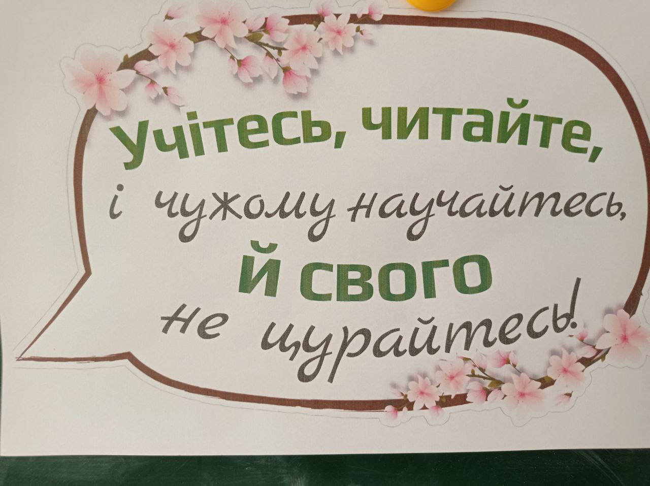Урок, присвячений біографії Тараса Шевченка